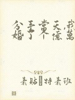 分手当天,我闪婚了个亿万富翁大结局