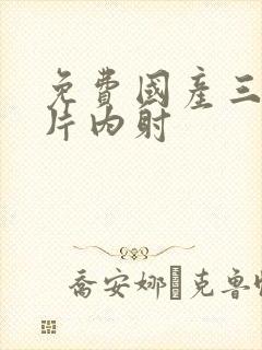 免费国产三级一片内射