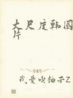 大尺度韩国犯罪片