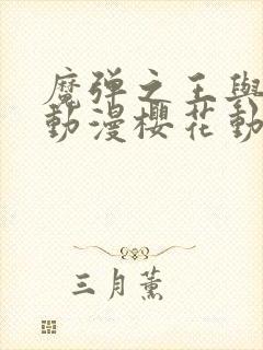 魔弹之王与战姬动漫樱花动漫