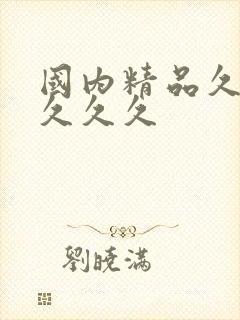 国内精品久久久久久久