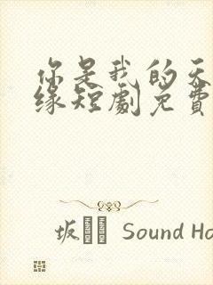 你是我的天赐良缘短剧免费观看全集高清