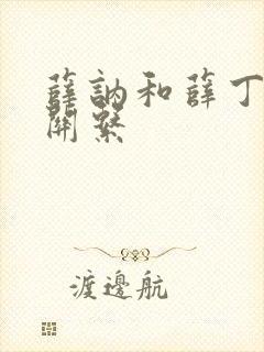 薛讷和薛丁山的关系