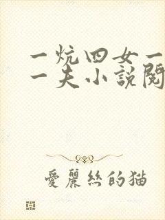 一炕四女一共侍一夫小说阅读