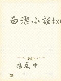 白洁小说txt