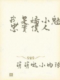 我是娇小魅族的忠实仆人封面