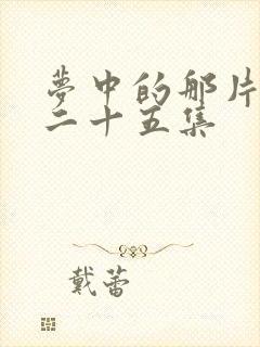 梦中的那片海第二十五集