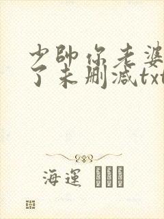 少帅你老婆又跑了未删减txt