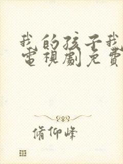 我的孩子我的家电视剧免费观看全集封面