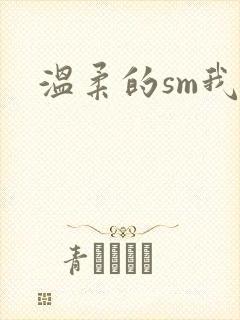 温柔的sm我