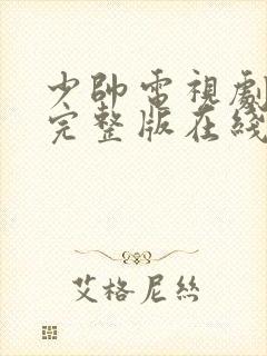 少帅电视剧免费完整版在线看