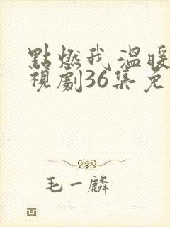 点燃我温暖你电视剧36集免费观看