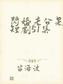 闪婚老公是豪门短剧51集