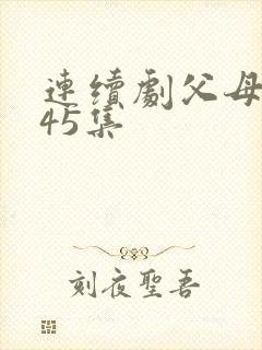 连续剧父母爱情45集