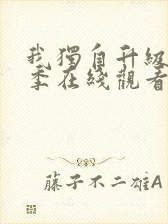 我独自升级第二季在线观看免费封面