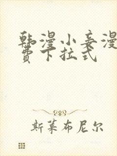 韩漫小妾漫画免费下拉式