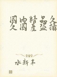 国内精品久久久久国产盗摄