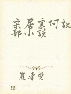 宋居寒何故是哪部小说封面