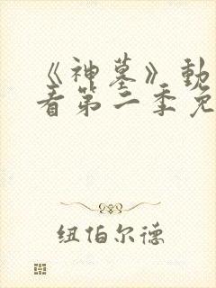 《神墓》动漫观看第二季免费