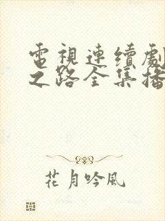 电视连续剧人生之路全集播放免费观看