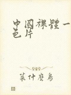 中国裸体一级黄色片封面