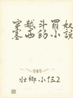 穿越斗罗奴役波塞西的小说