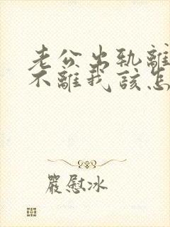 老公出轨离婚他不离我该怎么办