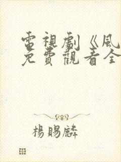 电视剧《风云》免费观看全集