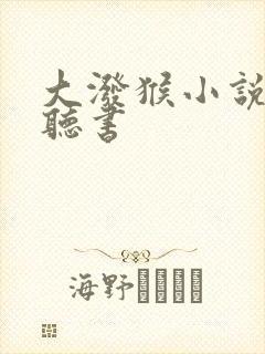 大泼猴小说免费听书