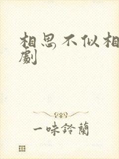 相思不似相逢短剧