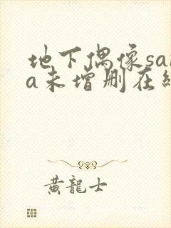 地下偶像sana未增删在线观看