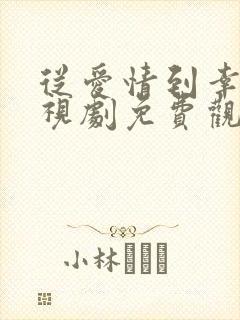 从爱情到幸福电视剧免费观看37集