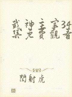 武神主宰348集免费观看