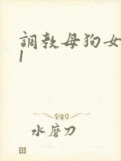 调教母狗女奴91