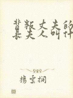 背叛丈夫的女社长夫人叫什么