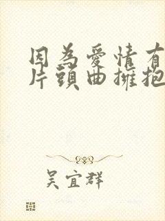 因为爱情有多美片头曲拥抱的理由