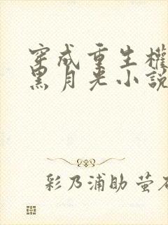 穿成重生权臣的黑月光小说