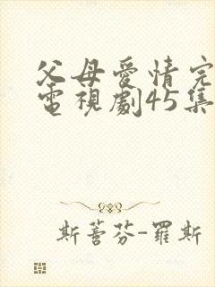 父母爱情完整版电视剧45集封面