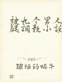 被九个男人扒开腿调教小说