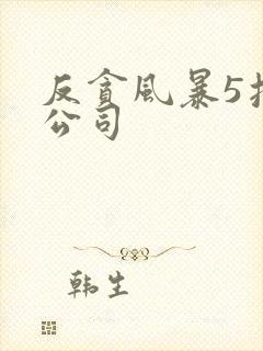 反贪风暴5投资公司