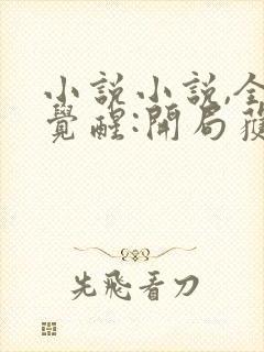 小说小说,全民觉醒:开局获得sss级天赋