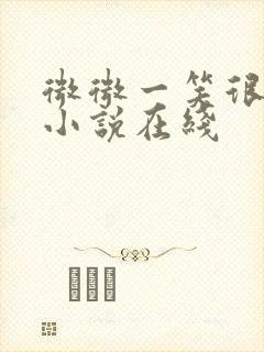 微微一笑很倾城小说在线