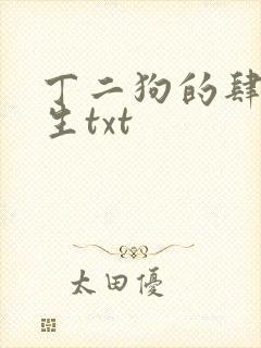 丁二狗的肆意人生txt