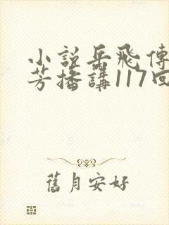 小说岳飞传刘兰芳播讲117回封面