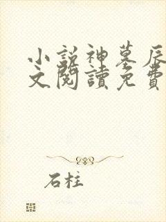 小说神墓辰东全文阅读免费