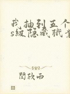 我抽到五个sss级隐藏职业