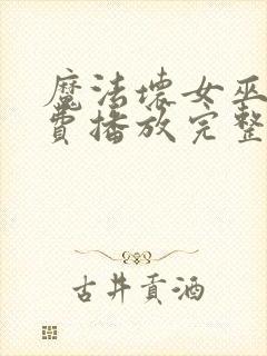 魔法坏女巫2免费播放完整版封面