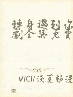 转身遇到你电视剧全集免费观看高清