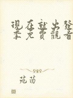 现在就出发第1季免费观看完整版