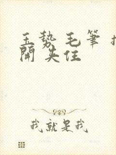 玉势 毛笔 撑开 夹住